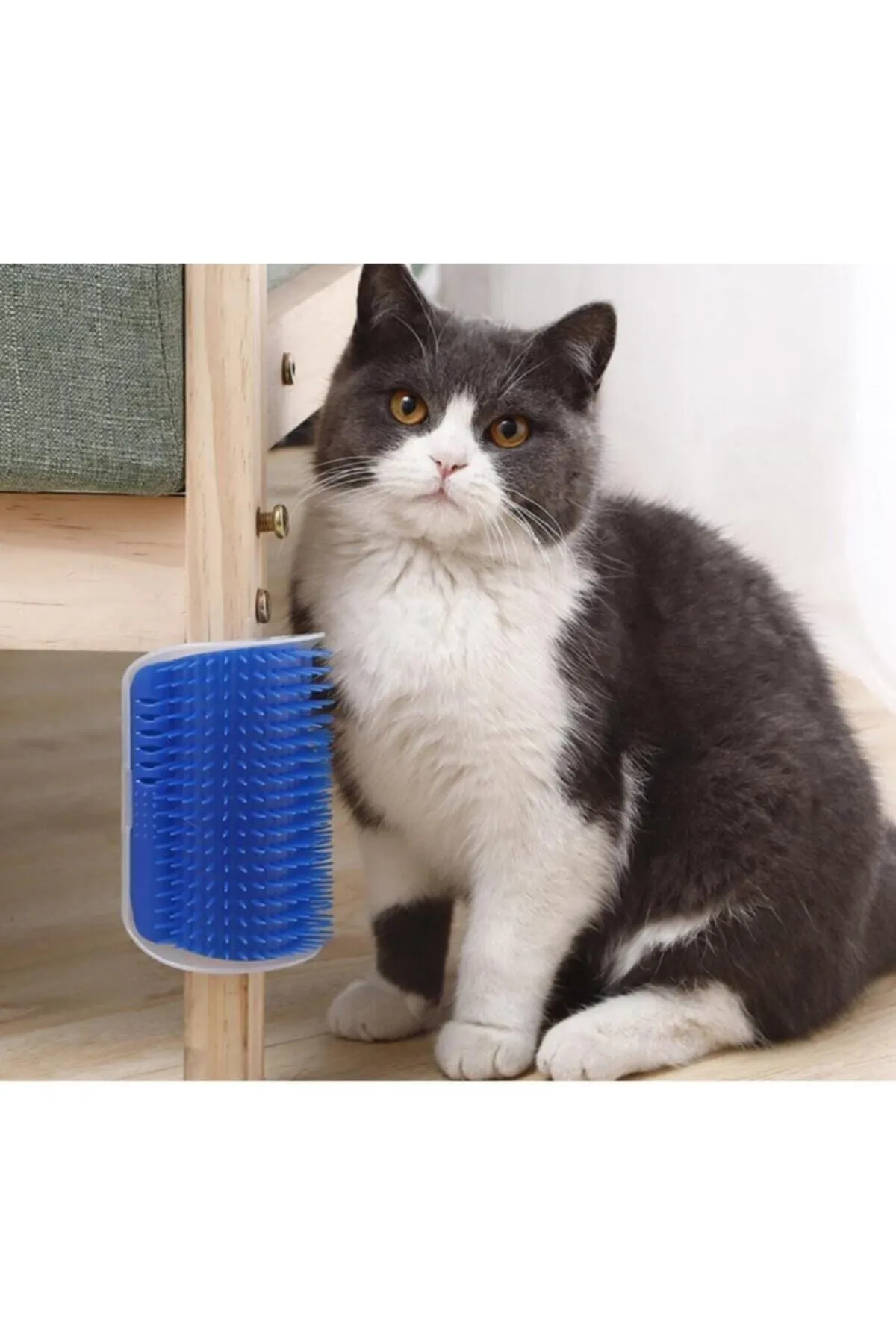 Cat It Kedi Tarama Ve Masaj Fırçası Mavi Catnipli Kedi Kaşınma Aparatı