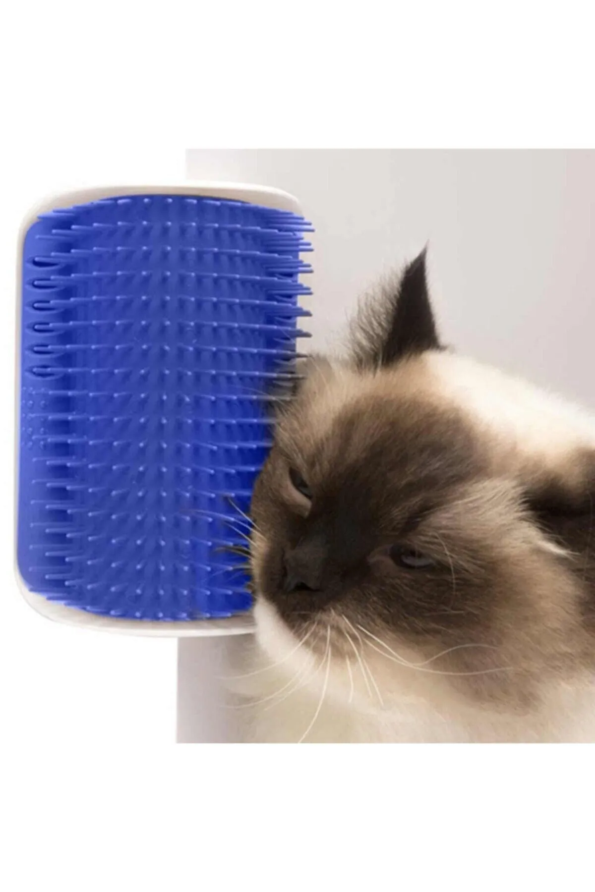 Cat It Kedi Tarama Ve Masaj Fırçası Mavi Catnipli Kedi Kaşınma Aparatı