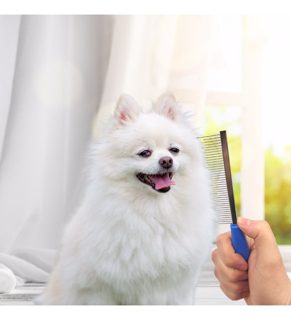 Kedi Köpek Tüy Açma Tarağı Kıtık Açıcı Bakım Tarağı Metal