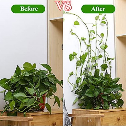 Sarmaşık Ve Kablo Düzenleyici Çok Amaçlı Klips 10 Adet